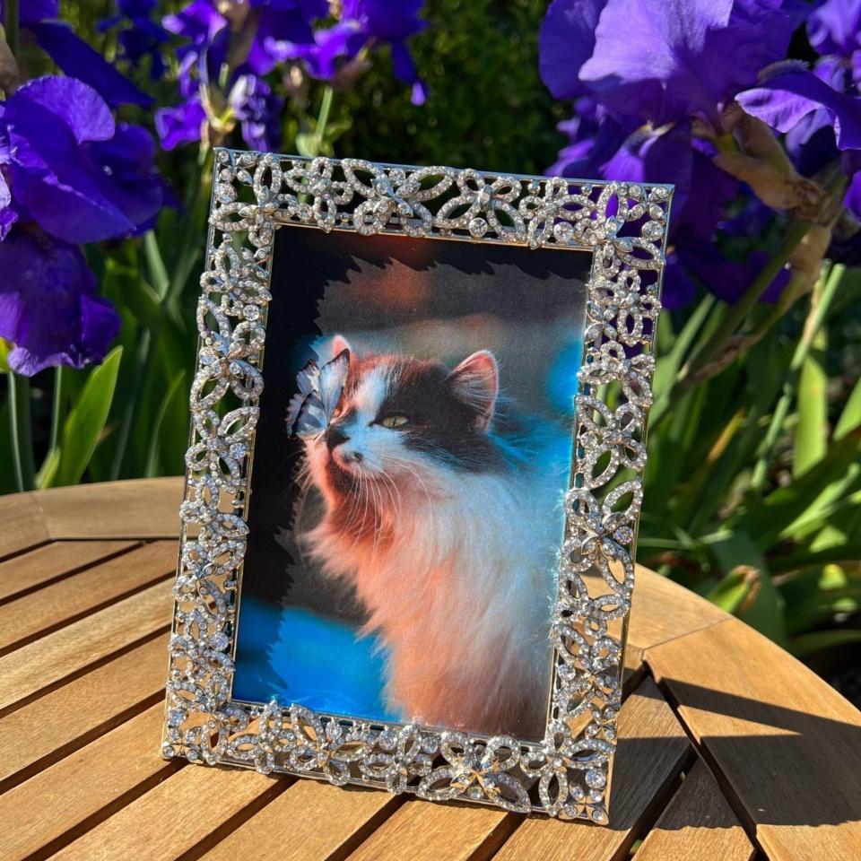 Silver Papillon with Crystals 4" x 6" Frame